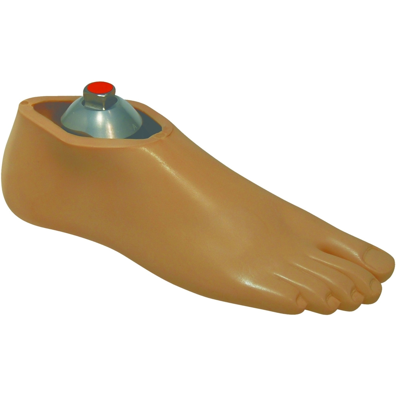 Coquilles de rechange - pieds Blatchford (K1 / K2)