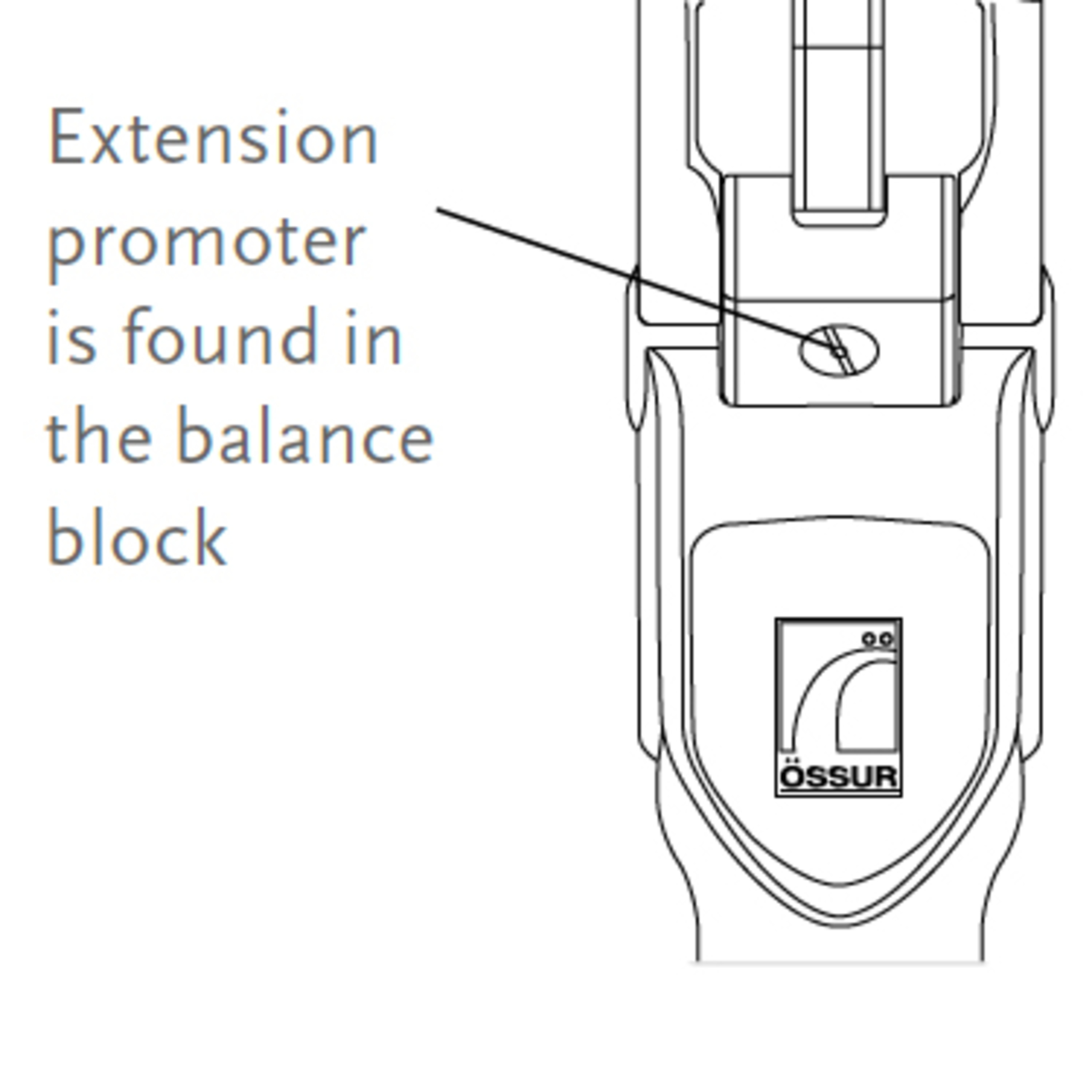 Extension Promoter