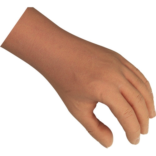 Gants cosmétique Elegance masculine (pour main Select)