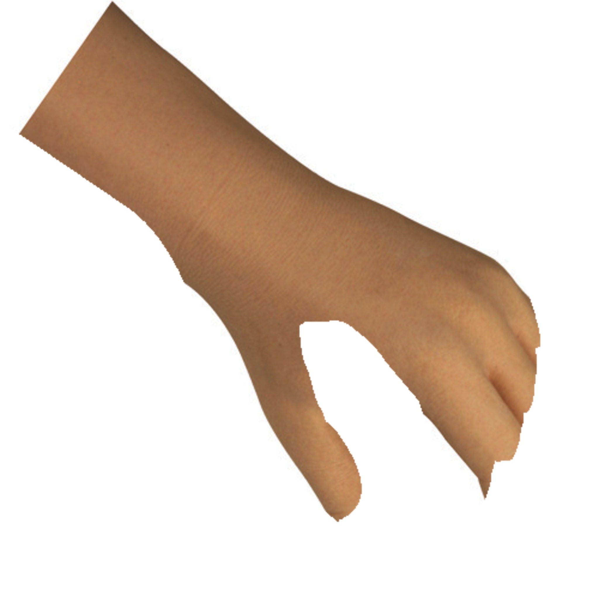 Gants cosmétique Elegance (pour main Select)